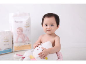 福建地区优质纸尿裤供应商及个人卫生用品销售市场概览